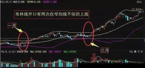 头条股票如何选股票号 头条股票如何选股票号
