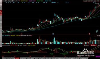 当天如何查询到公司股票 当天如何查询到公司股票