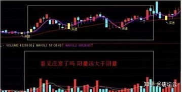 如何看股票庄家主力 如何看股票庄家主力