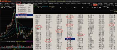 股票如何归类概念
