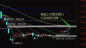 如何验证股票策略