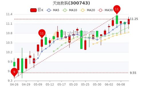 数码股票前景如何 数码股票前景如何