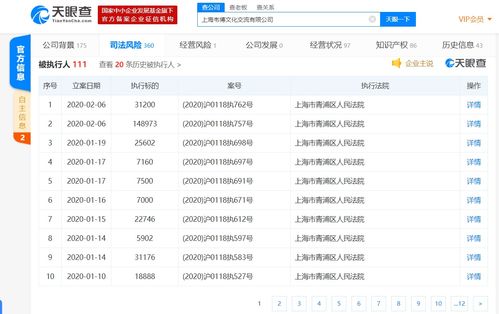 如何查名下股票