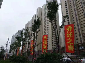 槐树街证券怎么样