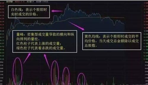 如何看出股票交易级别