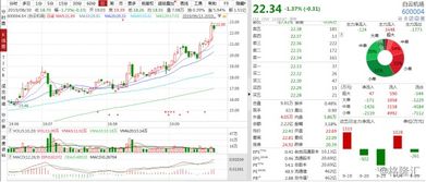 白云机场股票如何 白云机场股票如何