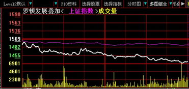 怎么投资北京证券的股票