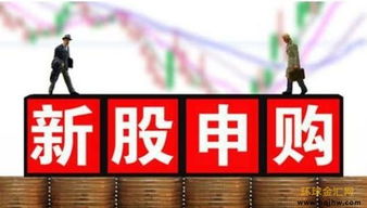 股票如何买新股申购 股票如何买新股申购