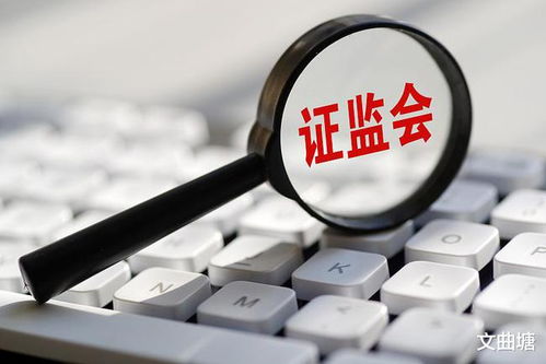 证监会如何应对股票大跌