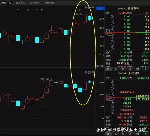 如何看股票波动方向图解