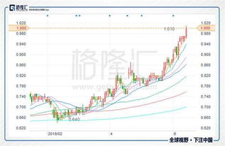 股票组合如何添加股票 股票组合如何添加股票