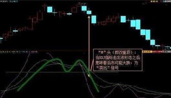 如何找股票交易系统密码