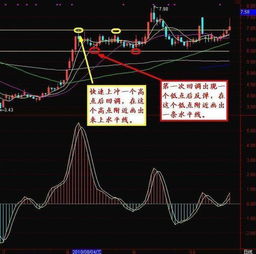 东方财经如何选股票 东方财经如何选股票