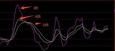 股票如何自动计算 股票如何自动计算