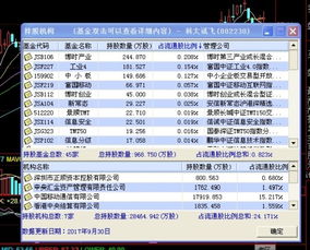 如何查股票在哪些基金中