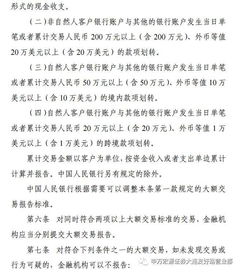 证券洗钱报告怎么填