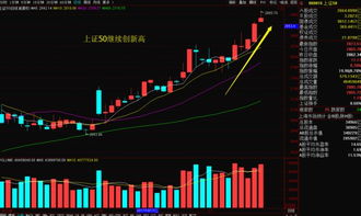 如何决定股票出路和收益