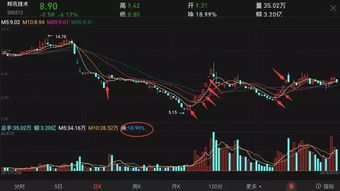 如何看待一只股票的股性