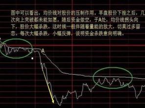 散户一天如何卖股票视频 散户一天如何卖股票视频