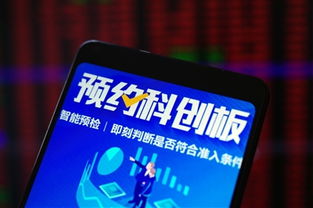 上海证券app怎么开通