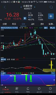 如何将一只股票加入自选