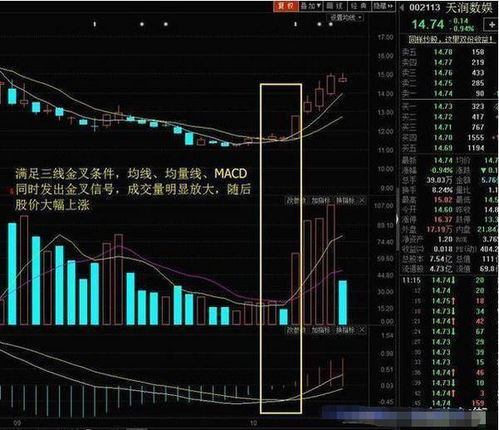 如何才能让股票不缩水呢 如何才能让股票不缩水呢