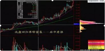 如何收集一个股票的资料