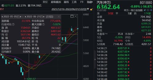 大金融股票如何选定