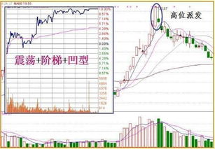 如何查看股票的持有量