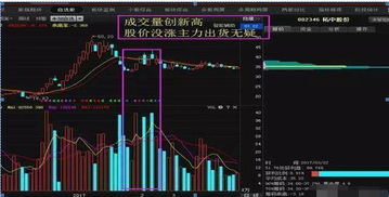 如何查看股票的持有量