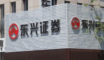东兴证券公司怎么走线下