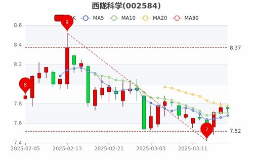西陇科学这支股票如何