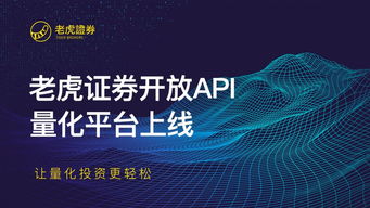 老虎证券入金后怎么使用