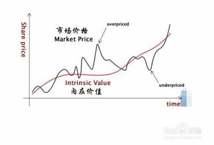 股票基本面如何投资赚钱