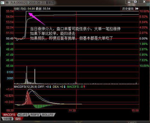 股票如何全部选中
