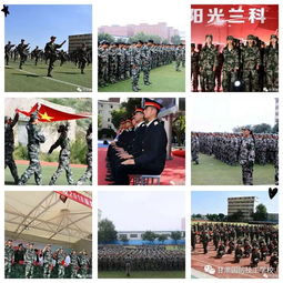中专毕业怎么进证券公司