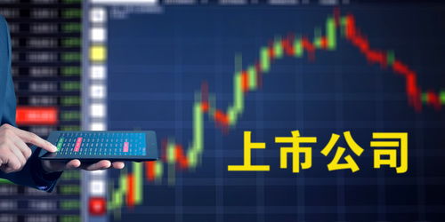 股票如何涨涨 股票如何涨涨