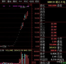 如何查看股票历史涨停价