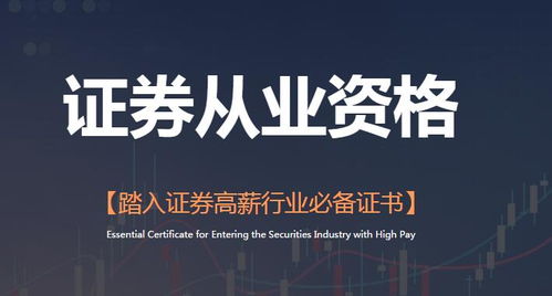 怎么进入证券行业