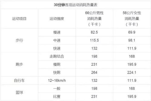 股票bMI如何使用