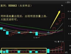 如何遏制滥发股票