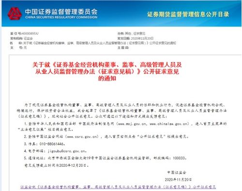 证券从业人员怎么写职业