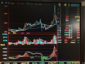 如何找股票中的领头羊股