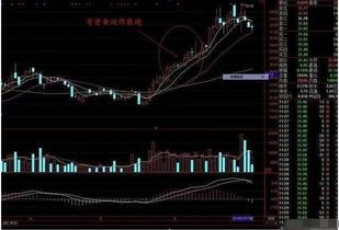 这只股票如何长线