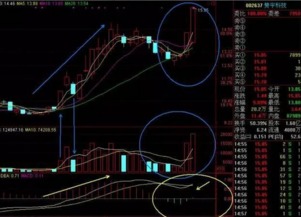 如何追涨停板股票