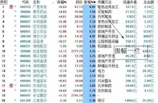如何看手中的股票排名