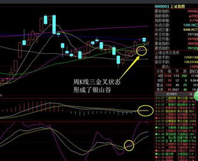 如何查看股票高点