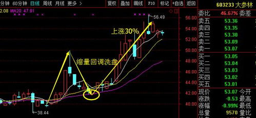 明牌的股票庄如何洗盘