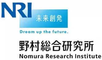 日本野村证券怎么融资