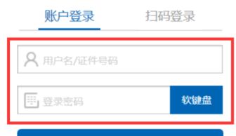 证券账户流水怎么打